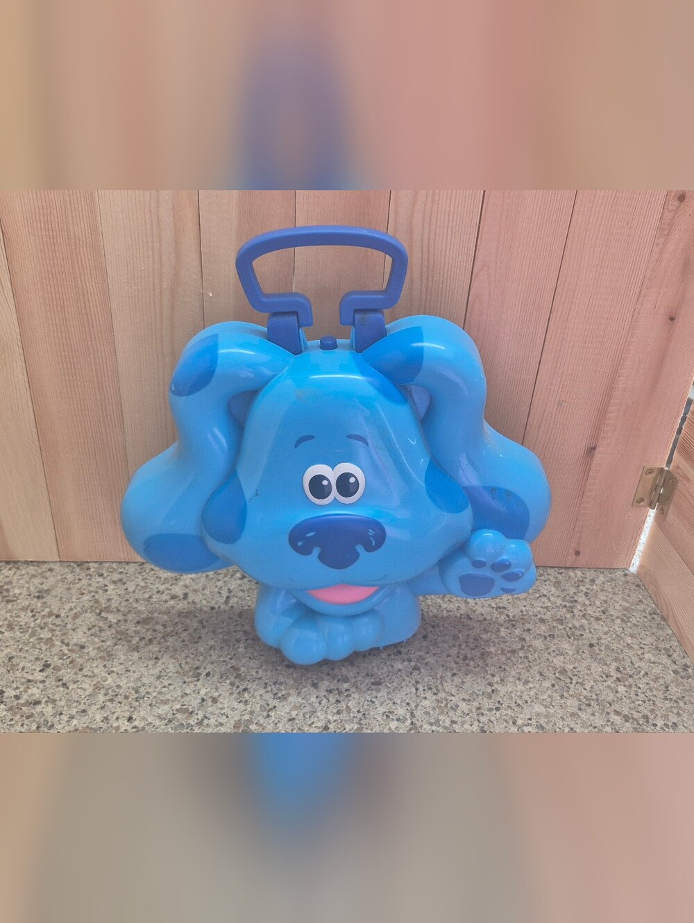 Blues Clues & You Take Along Friends Carry Case Only Plastic Storage Just Play